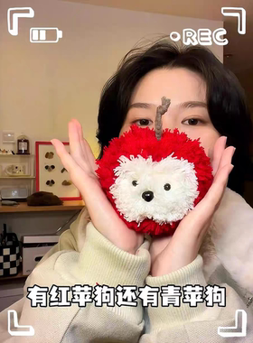 DIY苹狗红苹果创意毛线编织材料包自制礼物可爱钩织零基础简单