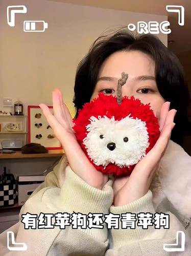 DIY苹狗红苹果创意毛线编织材料包自制礼物可爱钩织零基础简单