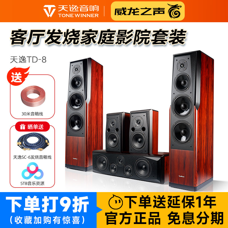Winner/天逸 童笛八号 TD-8家庭影院音响套装5.1高保真落地式音箱