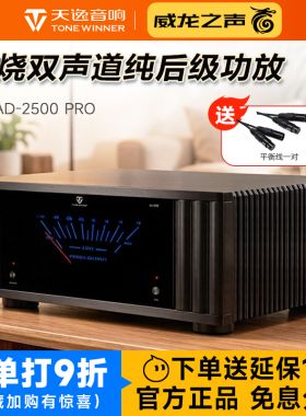 天逸AD-2500 PRO大功率发烧纯后级功放家用高保真立体两声道放大