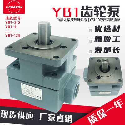 仙居大华液压叶片泵yb1-10齿轮泵油泵YB1-100/16/20/25/32/80/100