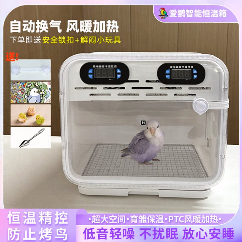 鹦鹉保温箱雏鸟恒温箱