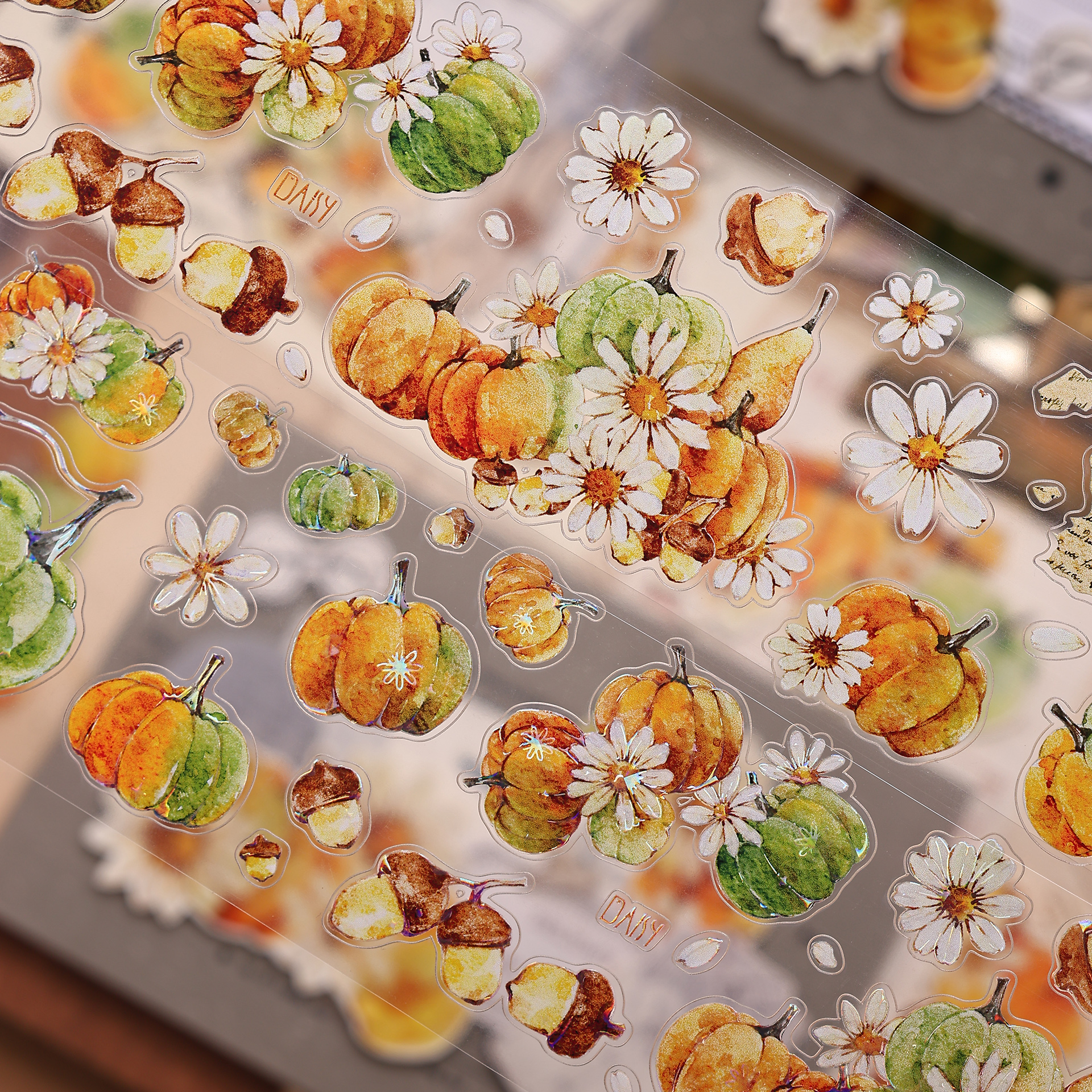 小白家文创【南瓜派】复古南瓜花卉果和纸PET贝壳光模切手帐胶带