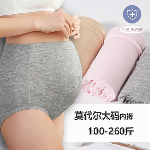 托腹高腰高弹宽松胖MM内裤 200斤莫代尔棉薄款 孕妇内裤 加肥加大码