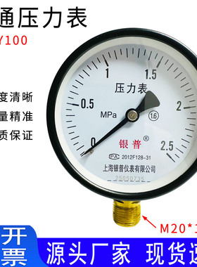 上海银普压力表Y-100气压水压油压表0-0.6/1.6/2.5/6/10/25/60MPa