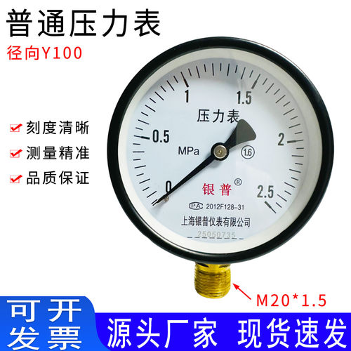 上海银普压力表Y-100气压水压油压表0-0.6/1.6/2.5/6/10/25/60MPa