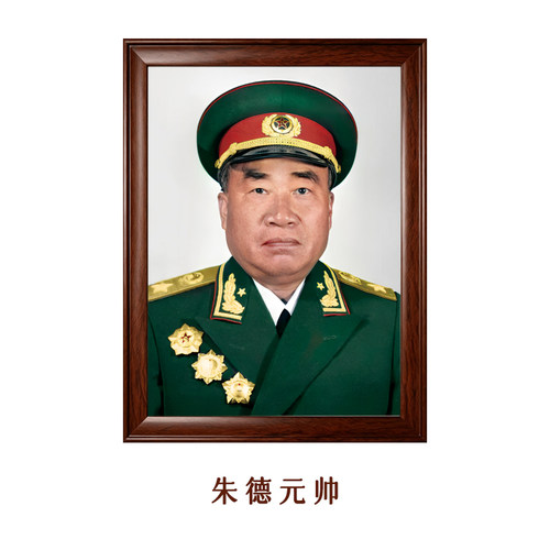 实木通用背景墙装饰画伟人带框画