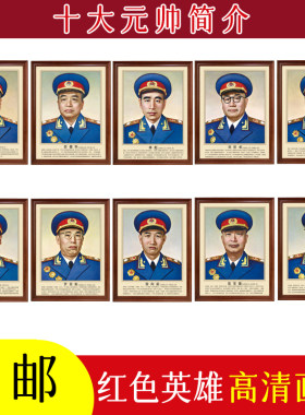 十大元帅简介带框书房党建壁画