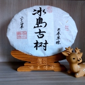 云士茶业 普洱生茶 云王博士 2024年冰岛古树单株