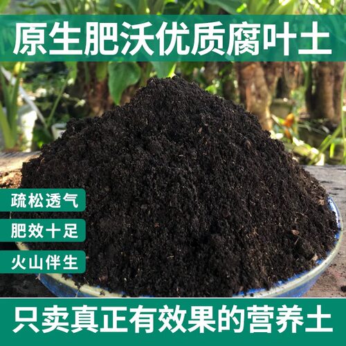 腐殖土腐叶土通用型营养土不板结