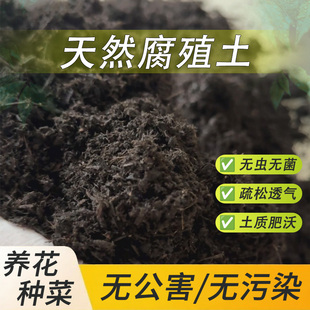天然发酵腐熟松针腐殖土养花种菜腐叶土阳台盆栽蔬果种植营养土壤