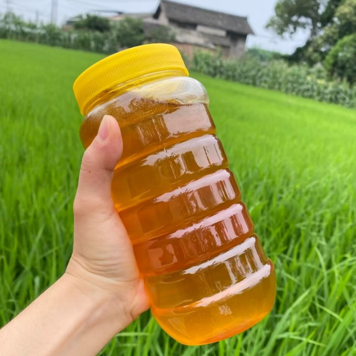 百花蜂蜜网红爆款野山花蜜液态蜜1000g瓶装伴手礼农家 自产土蜂蜜