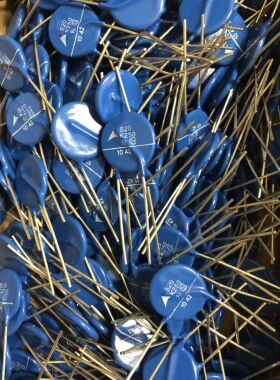 B72220S251K101 S20K250西门子直插压敏电阻 S20 K250原装EPCOS