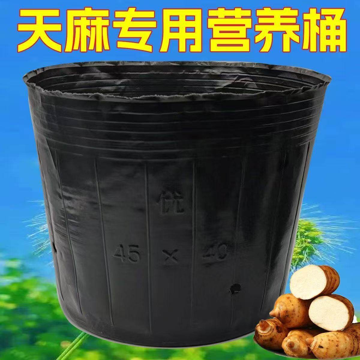 天麻专用种植桶魔芋桶塑料营养钵加厚黑色营养袋大号育苗杯营养袋