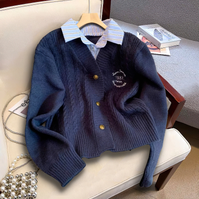 赠送运费险假两件韩版修身毛衣