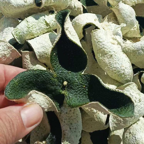 新会陈皮茶枝柑青柑皮三花青