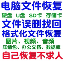 电脑数据恢复软件 电脑U盘内存sd卡照片文件数据恢复软件移动硬盘