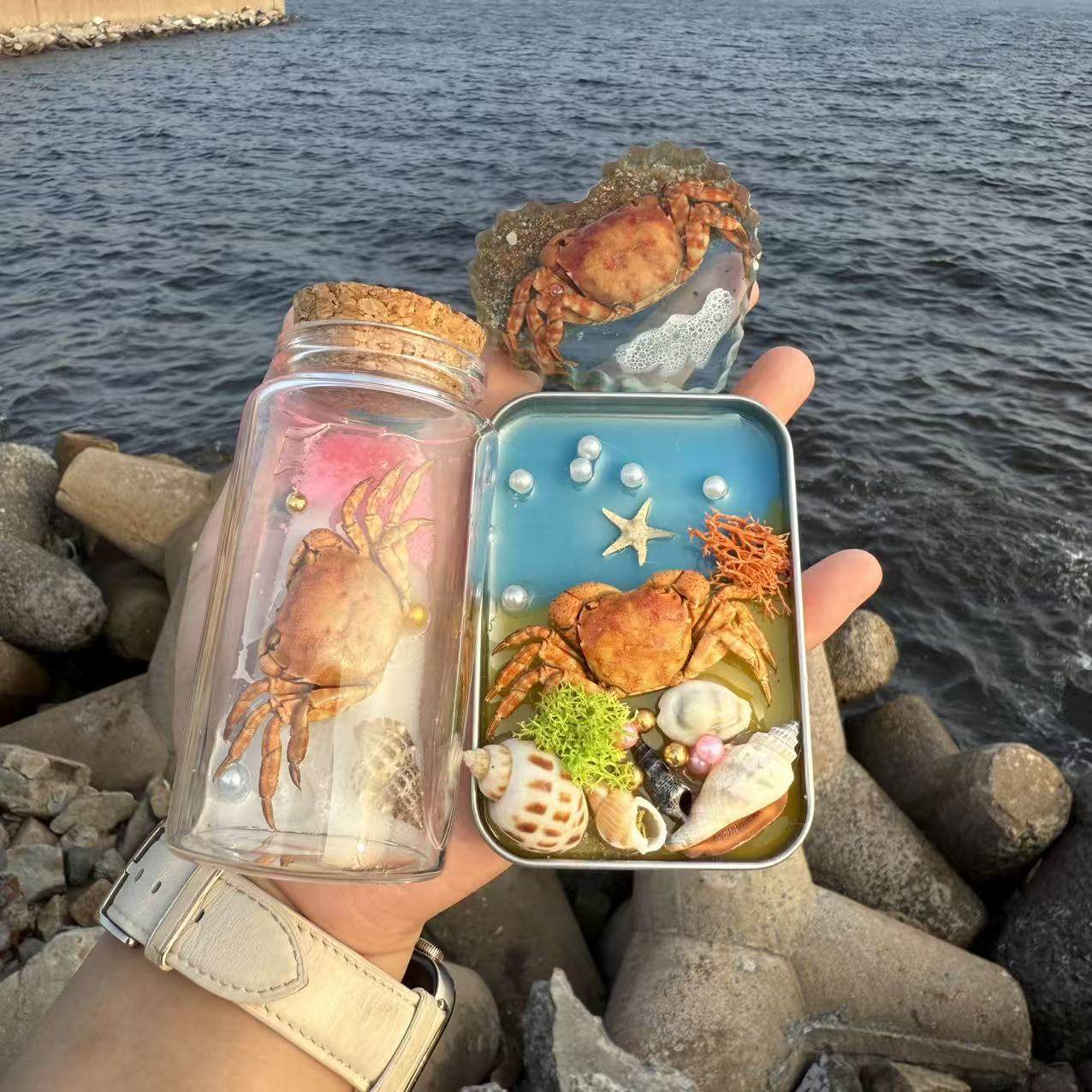 包邮天然螃蟹标本漂流瓶许愿瓶摆件海景铁盒冰箱贴海边创意工艺品