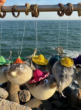 包邮天然刺鱼气鼓鱼标本刺豚河豚气泡鱼挂件收藏超大海螺造景贝壳