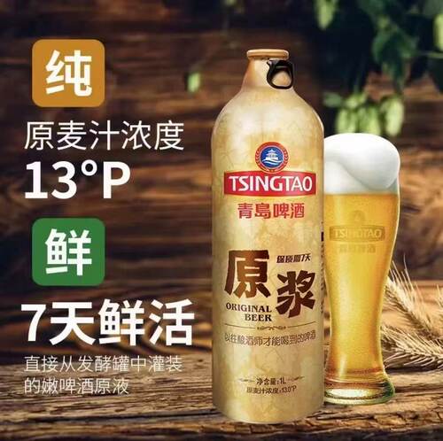 青岛一厂原浆 七日鲜活 酒精度5.4%vol 麦芽浓度13.0°P 官方直发