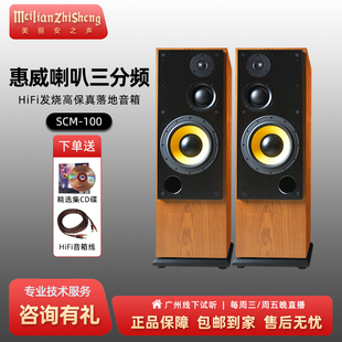 美丽安之声HIVI 100家用高端10寸三分频HiFi落地音箱 惠威喇叭SCM