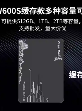 长城GW600 SSD2.5寸SATA3.0接口1/2TB台式机笔记本高速固态硬盘