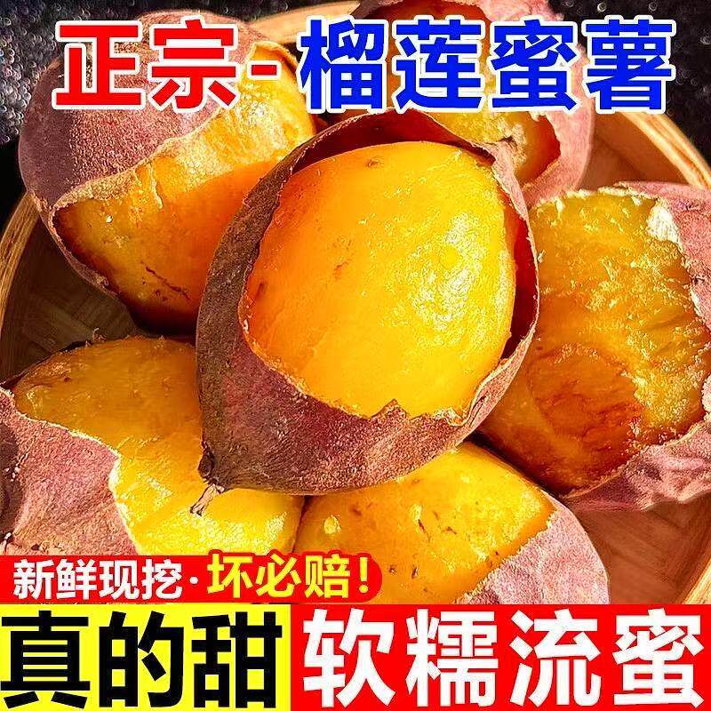 正宗榴莲蜜薯红薯2026现挖新货黄壤冰糖心番薯玛莎莉地瓜黄金红薯