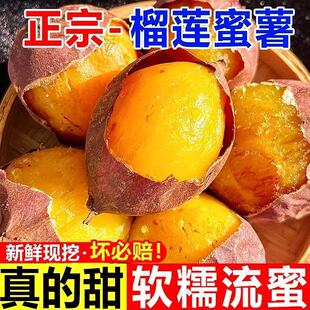 正宗榴莲蜜薯红薯2026现挖新货黄壤冰糖心番薯玛莎莉地瓜黄金红薯