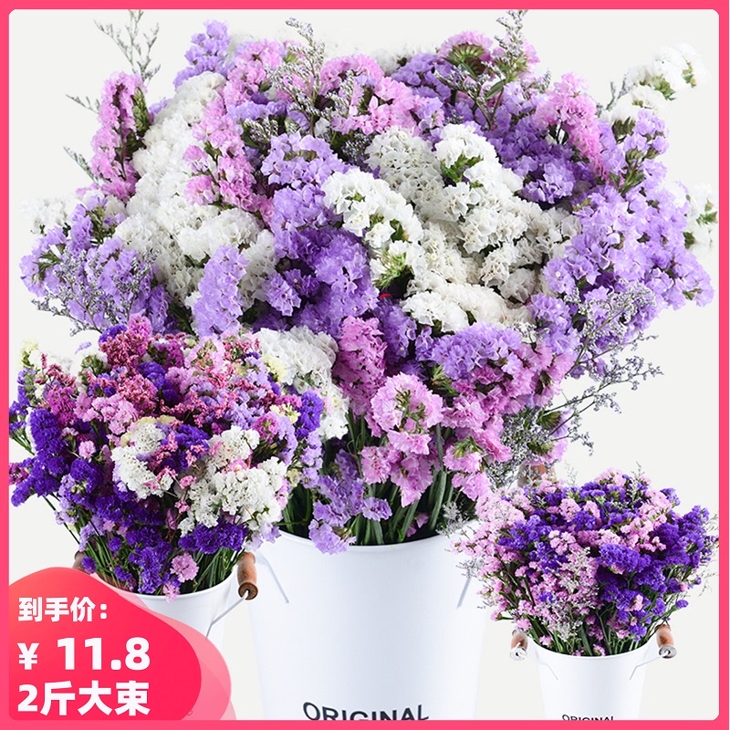 云南勿忘我干花花束客厅家居摆设装饰小清新天然鲜花束大小摆件真|ruв категории доставка цветов/цветок моделирования/растения садоводства, вечную жизнь цветы/сушеные цветы, сушеные цветы - от Buy2taobao.com для оказания профессиональной услуги покупки агента Taobao