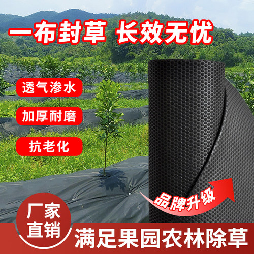 生态防草布除草布加厚版厂家直销