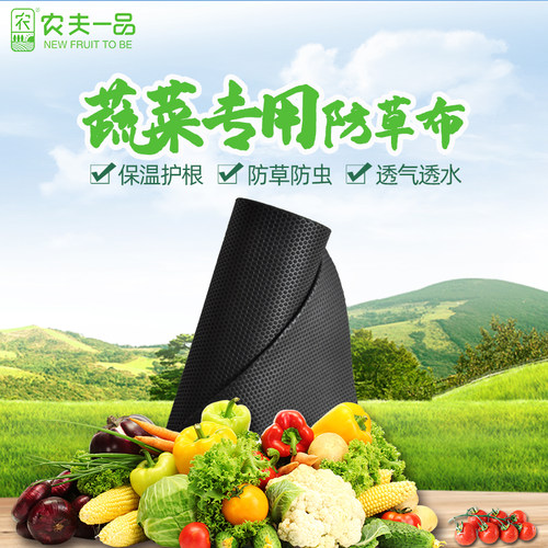 黑色透水防草布除草布农用可降解