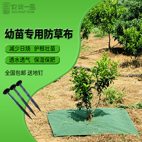 果园幼树幼苗除草防草布