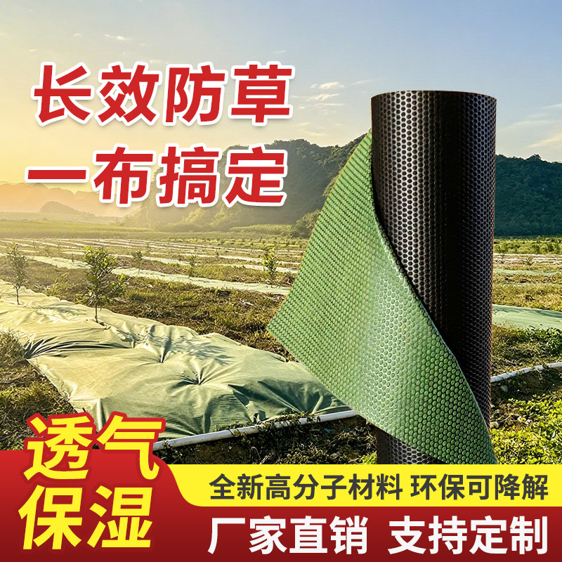 防草布除草布耐用厂家直销农用加厚绿黑色盖草遮草布黑色地膜地布