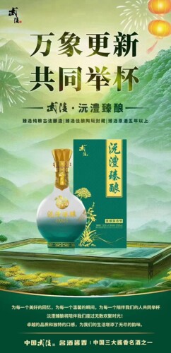 武陵新品  武陵沅澧臻酿  优雅酱香型 53度 500mLx1瓶