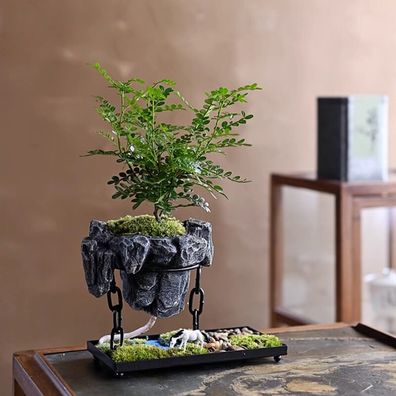 厂家直销铁艺树脂花盆跨境悬挂式摆件苔藓球造景盆绿植微景观盆景