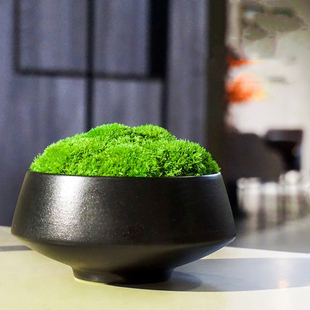 新中式免浇水永生苔藓盆景仿真植物假盆栽青苔酒店桌面花艺摆件