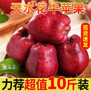 甘肃天水花牛苹果新鲜水果10红蛇产地斤平速发时令粉面刮泥大甜丑