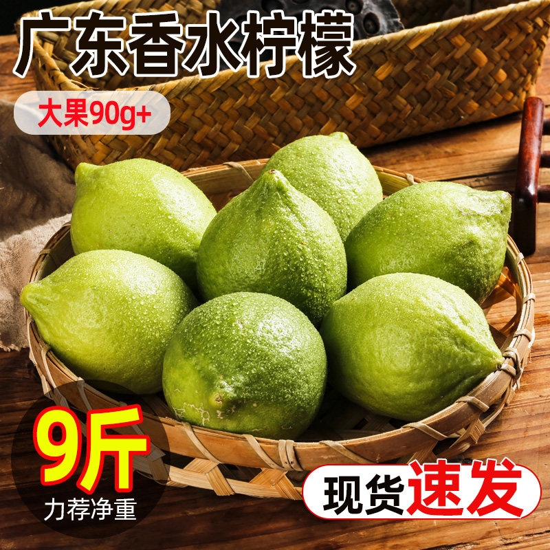 广东香水柠檬原产地应当季头茬