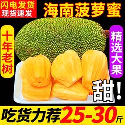 海南三亚菠萝蜜新鲜水果当季黄肉一整个整箱10-35斤木波罗蜜特产5