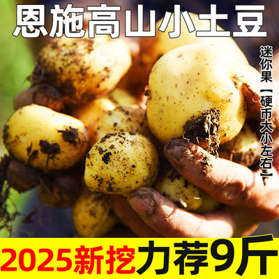 农家自种恩施高山小土豆