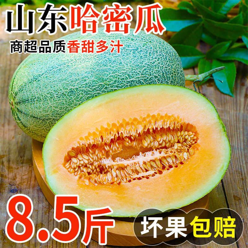 收藏加购,优先发出。