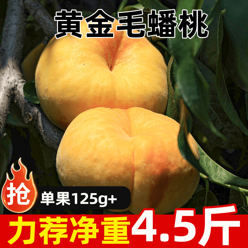 正宗山东黄毛蟠桃新鲜时令水果子
