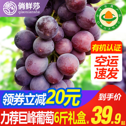 有机巨峰葡萄礼盒斤装新鲜水果马现摘夏当季空运提子甜直供陆黑5