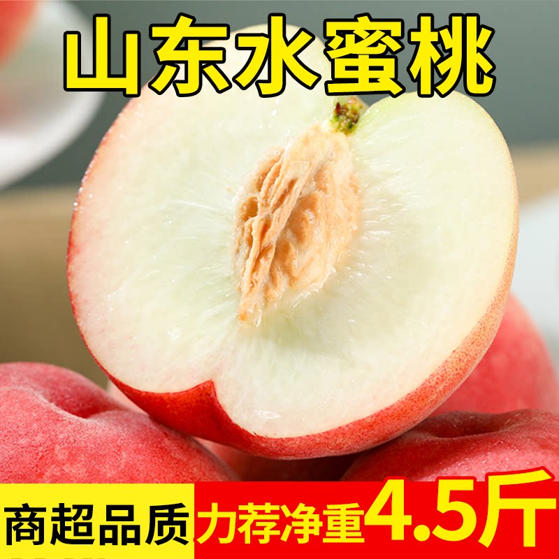 山东红毛水蜜桃原产地应当季新鲜