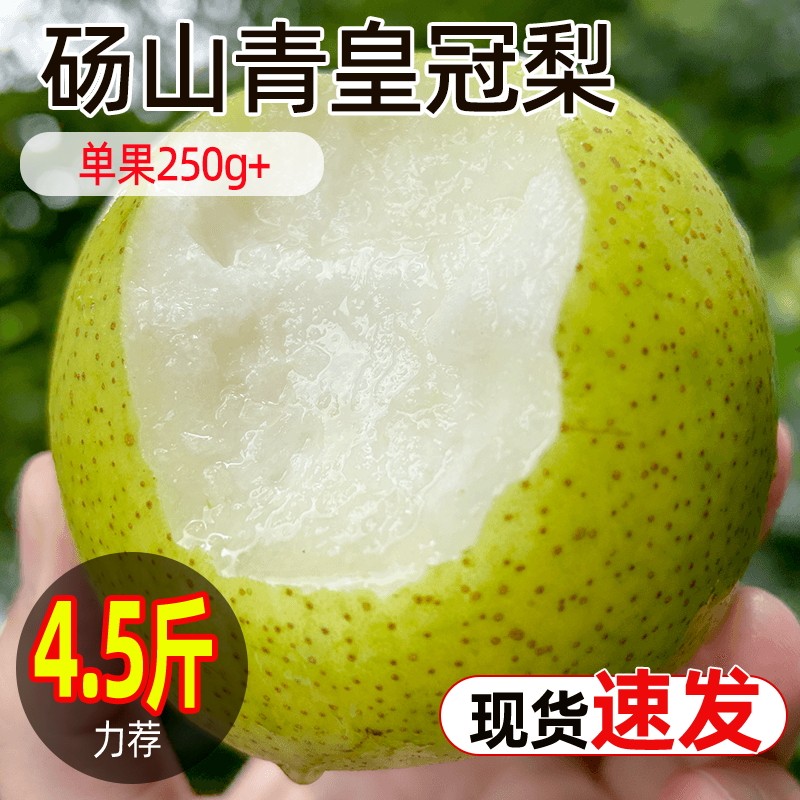 安徽砀山青皮皇冠梨原产地发