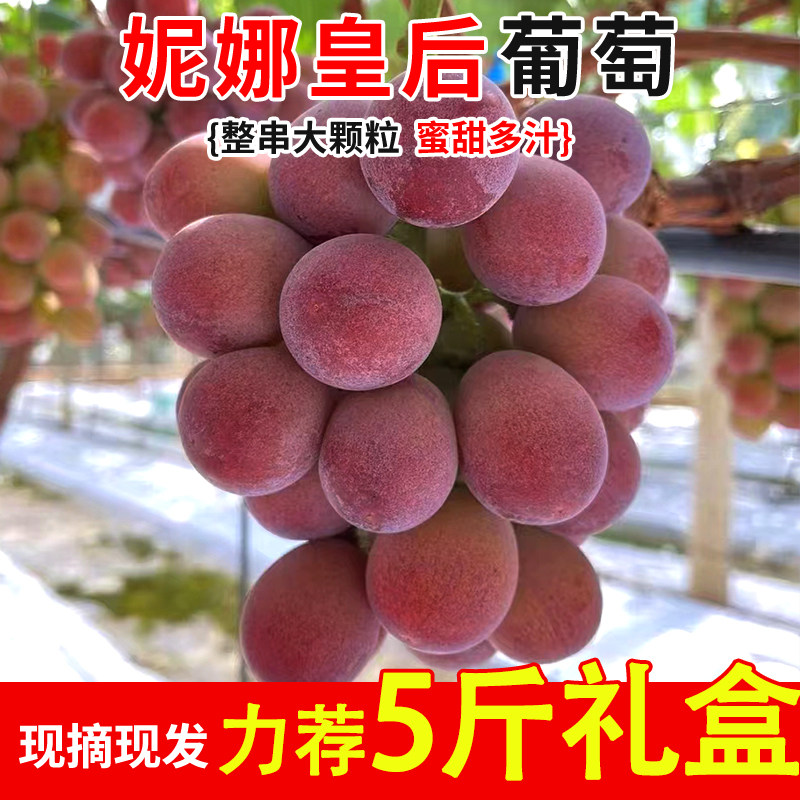 顺丰快递云南妮娜皇后葡萄新鲜