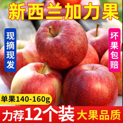 新西兰加力果水果新鲜当季