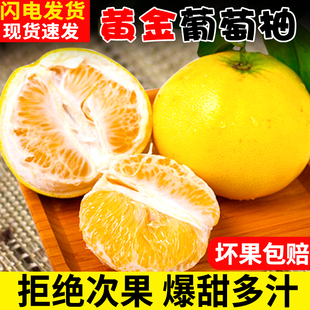 福建黄金葡萄柚正宗新鲜柚子多汁美味原产地应当季园地采摘整箱发