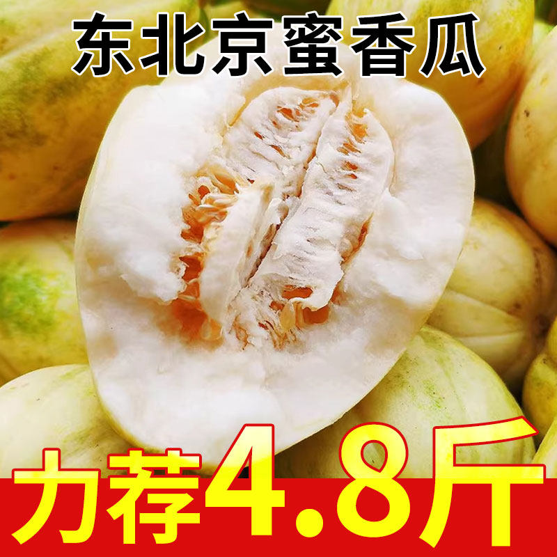 东北京蜜香瓜原产地应当季新鲜水果多汁美味甜口现摘现发整箱打包