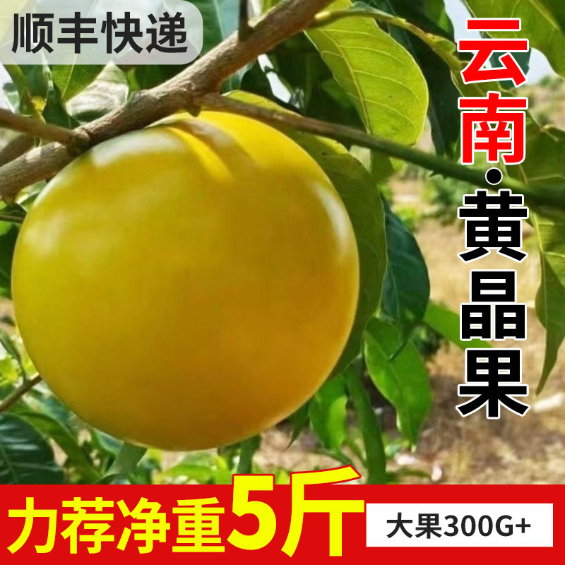 云南黄晶果冬蜜新鲜时令水果